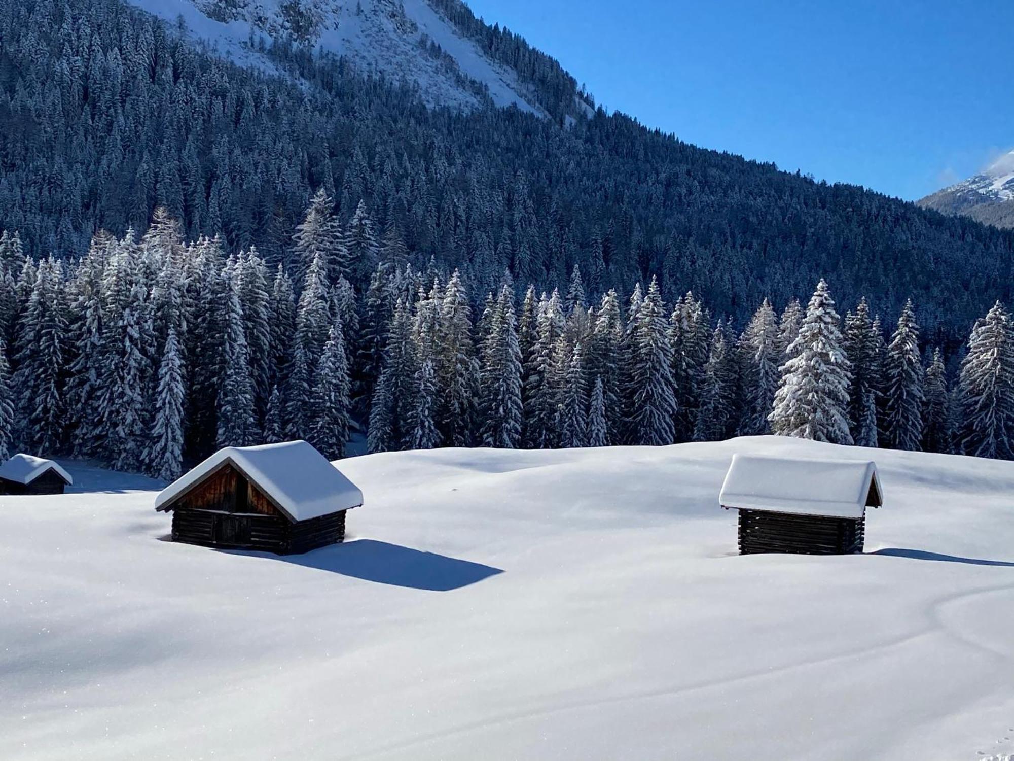 Aparthotel Ansitz Felsenheim Lermoos Exteriér fotografie