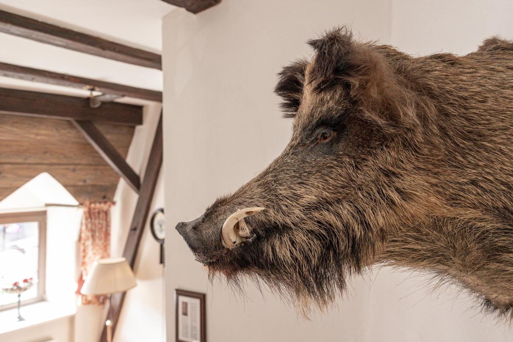 Aparthotel Ansitz Felsenheim Lermoos Exteriér fotografie